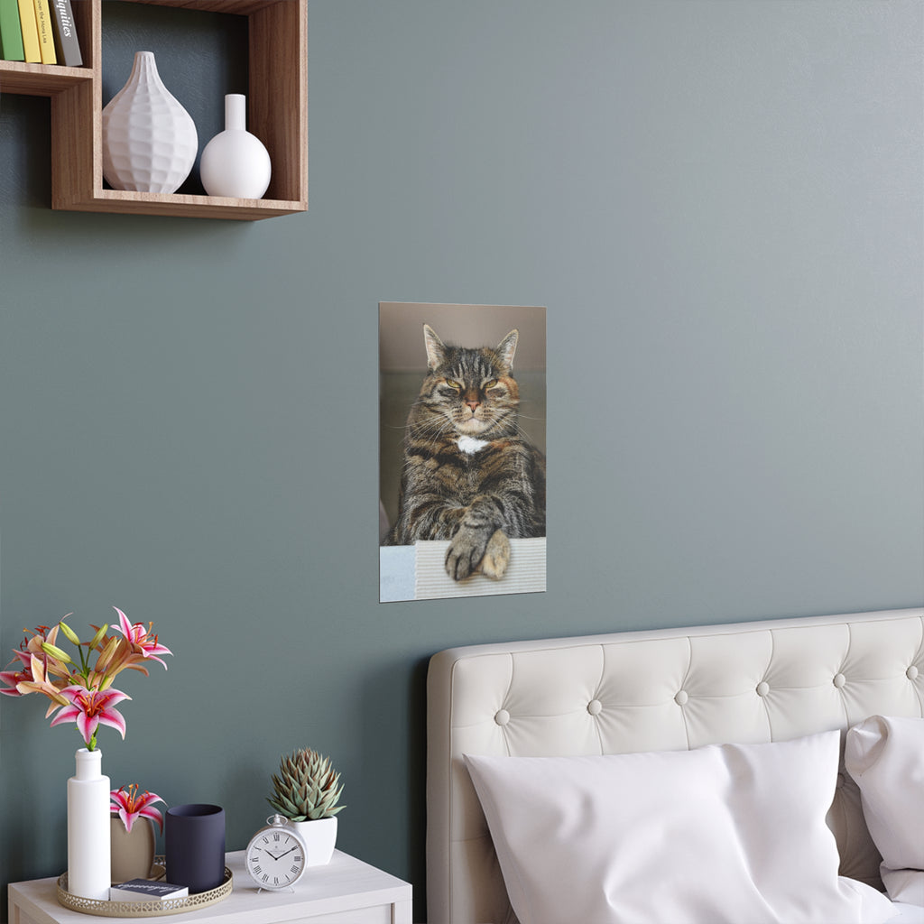 Tabby Cat Portrait poster | Indoor Outdoor Silk Poster