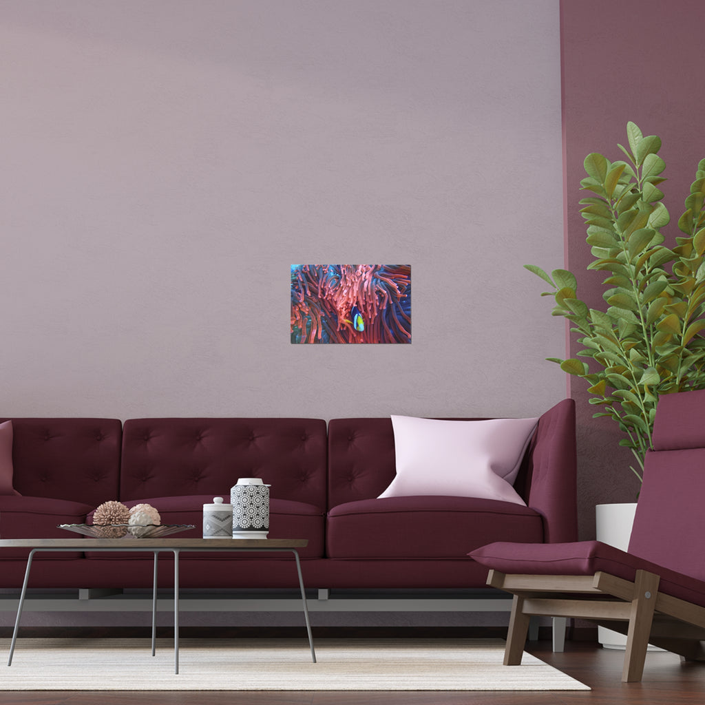 Clownfish in Sea Anemone Silk Poster | Indoor Outdoor Wall Art