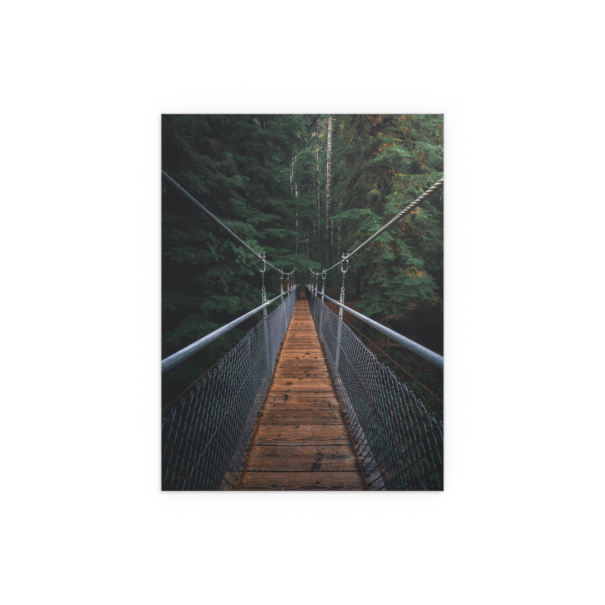 Suspension Bridge Forest Walk poster | Silk Poster