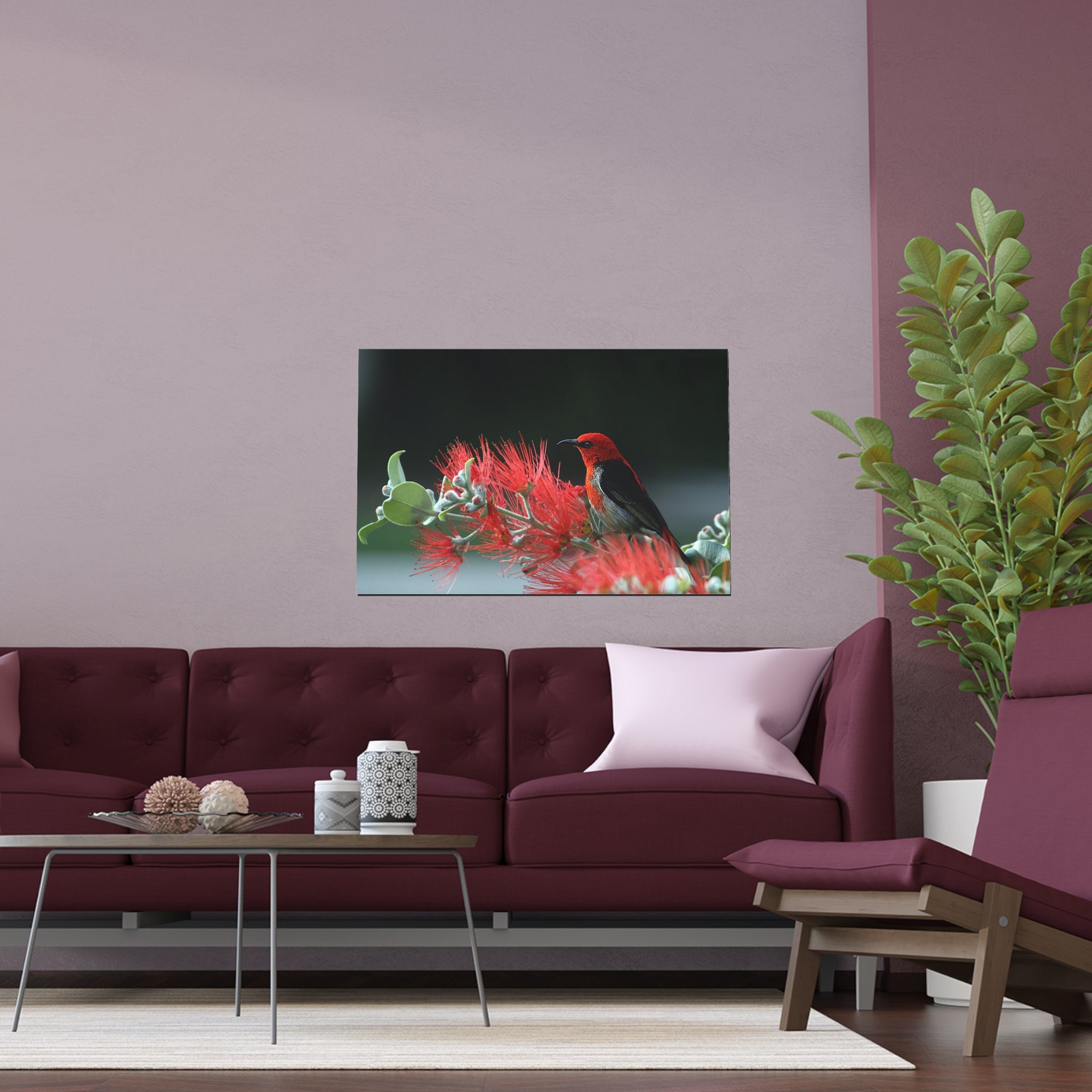 Crimson Honeycreeper on Red Bottlebrush Silk Poster | Bird Nature Wall Art