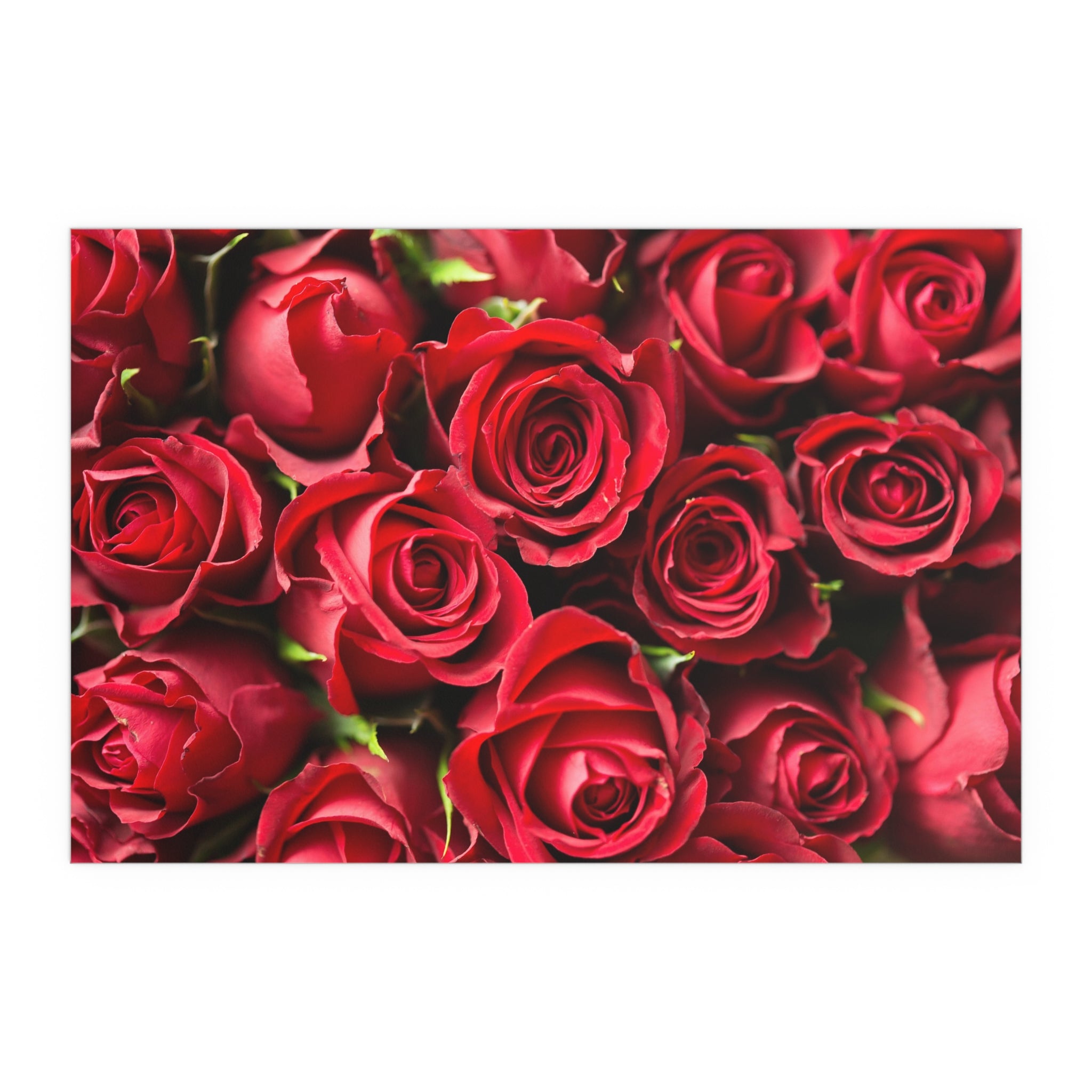 Red Rose Floral Print Silk Poster | Poster