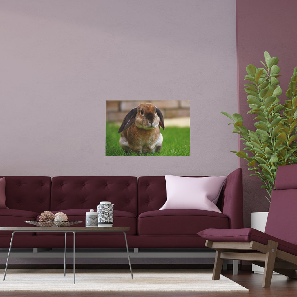 Brown Lop Rabbit Photo Silk Poster | Indoor Outdoor Bunny Wall Art