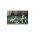 Two Schnauzer Dogs Silk Poster | Indoor Outdoor Dog Photo Wall Art