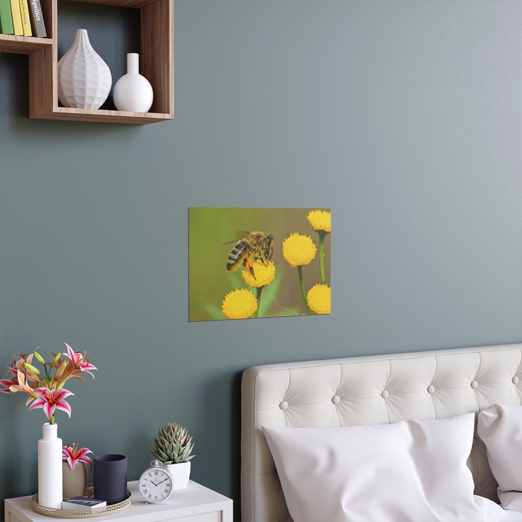 Honeybee on Yellow Flowers Silk Poster | Wall Art
