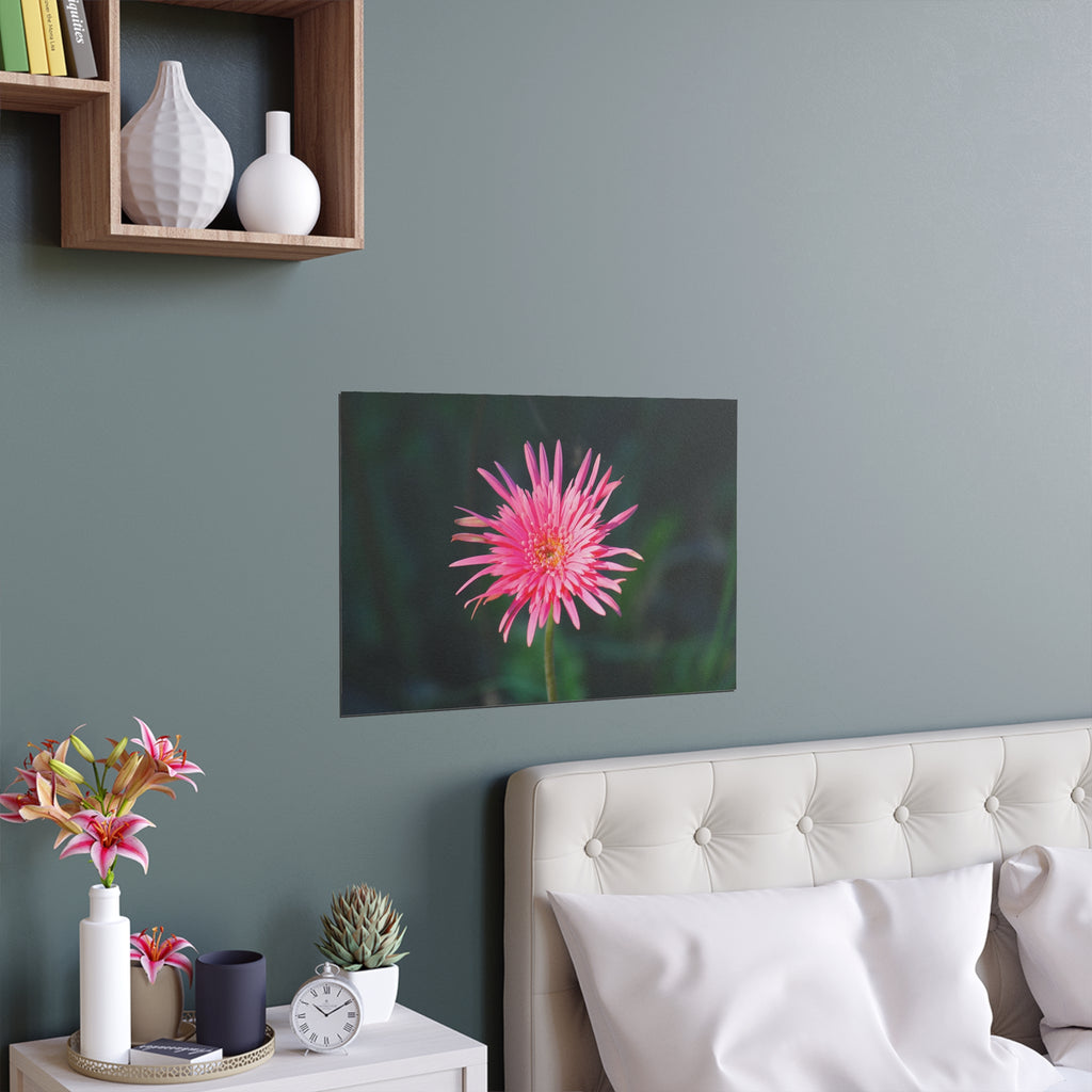 Pink Daisy Bloom Silk Poster | Floral Wall Art, Indoor Outdoor