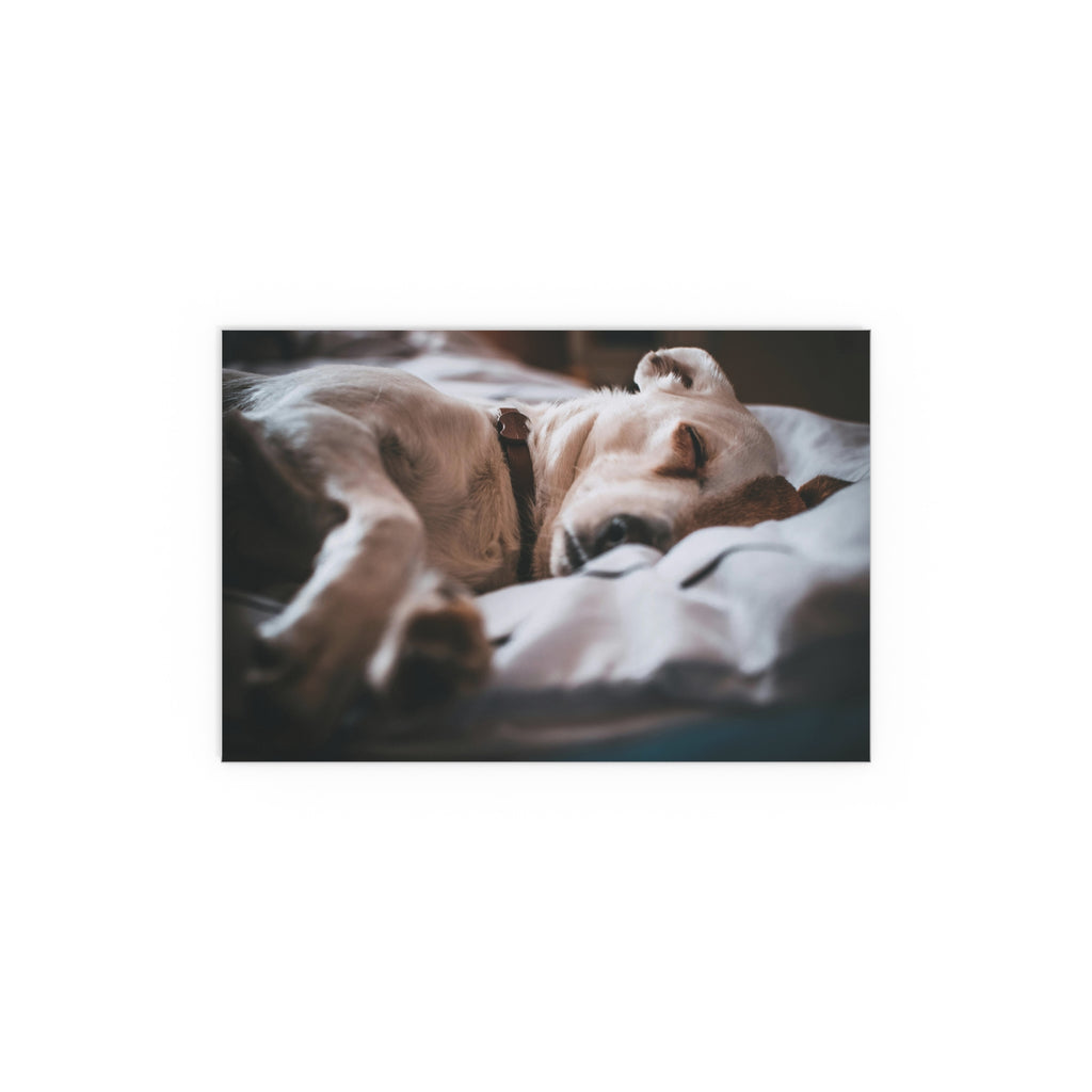 Sleeping Dog silk poster | cozy puppy photography wall art