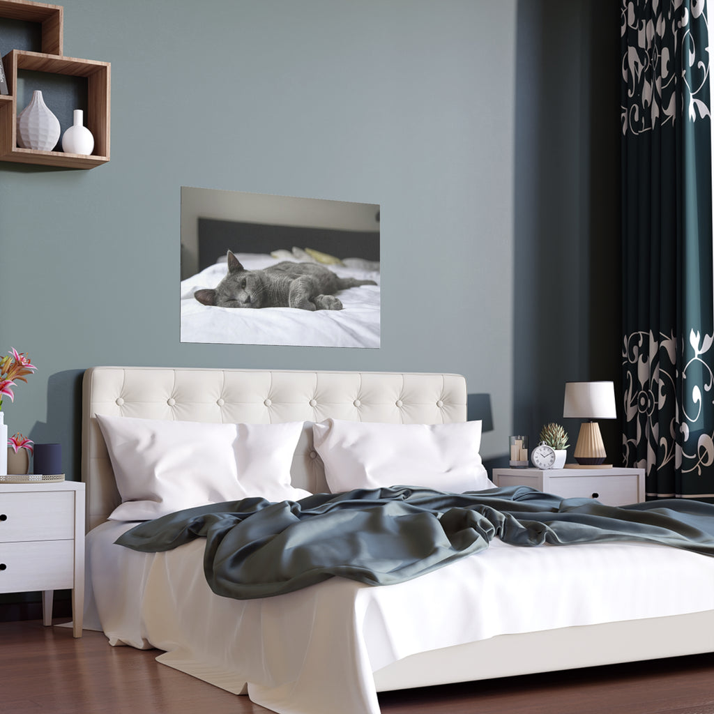 Sleeping Gray Cat Silk Poster | Indoor Outdoor Cat Photo Wall Art