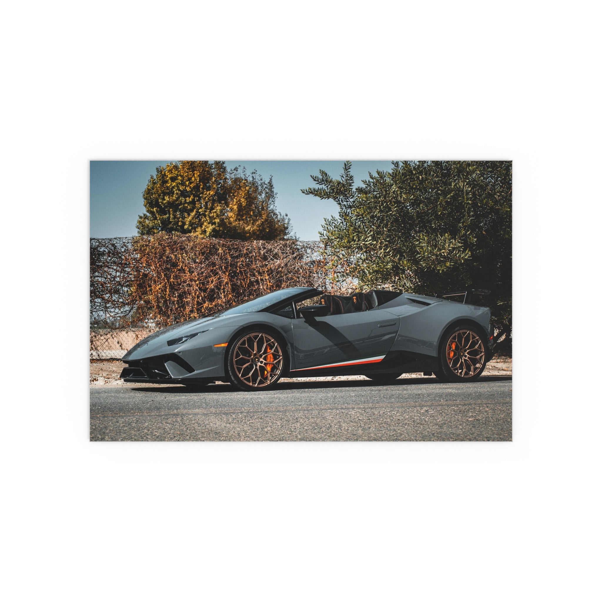 Matte Gray Sports Car Poster Indoor Outdoor Silk Poster | Convertible Supercar Wall Art