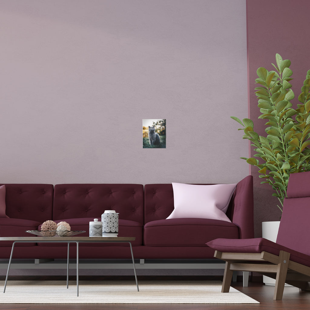 Gray British Shorthair Cat Poster Indoor Outdoor Silk Poster | Cat Photography Wall Art