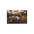Puppy Basket Photograph Silk Poster | Indoor Outdoor Wall Art