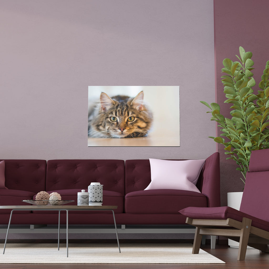 Tabby Cat Face Silk Poster | Indoor Outdoor Cat Wall Art