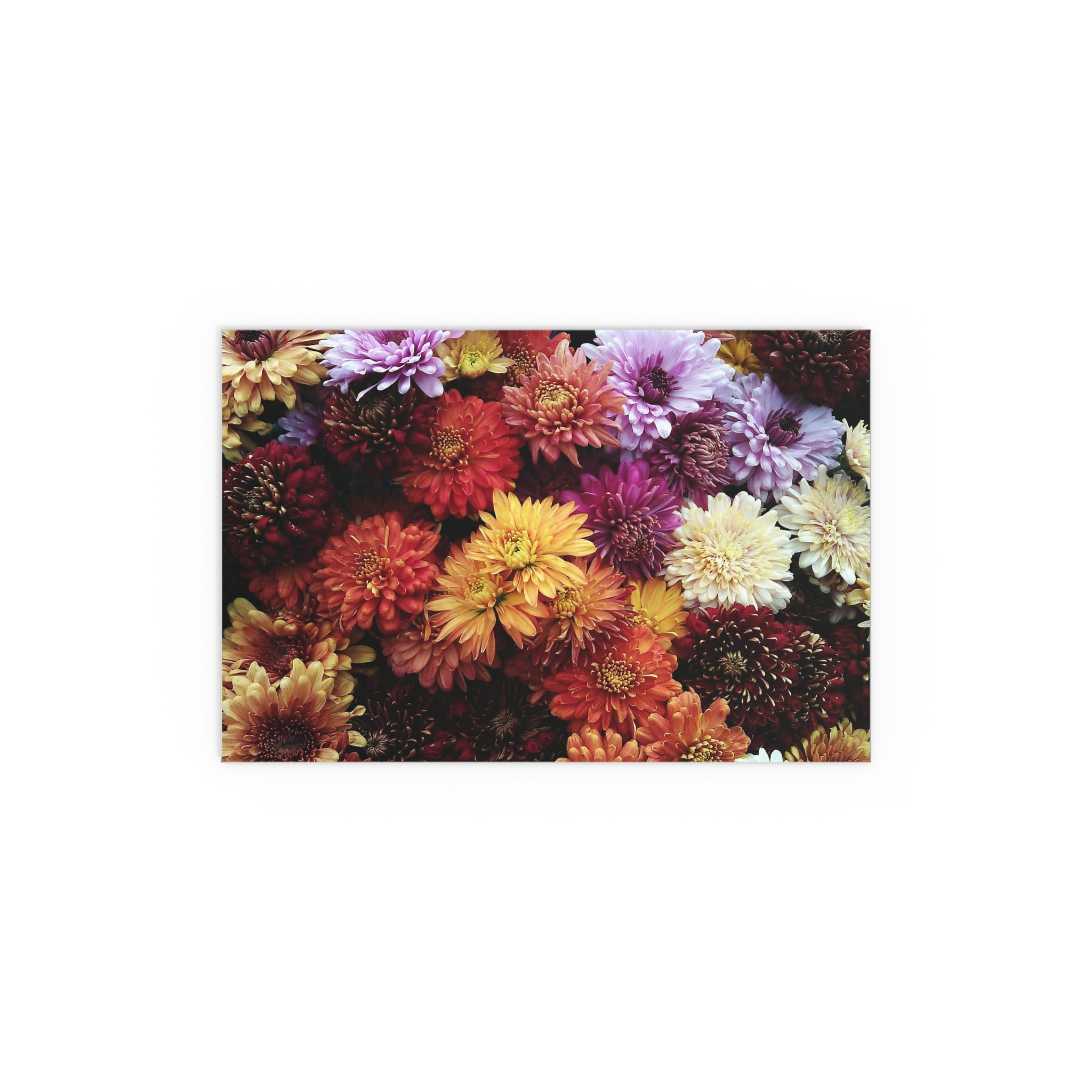 Colorful Chrysanthemum Collage Silk Poster