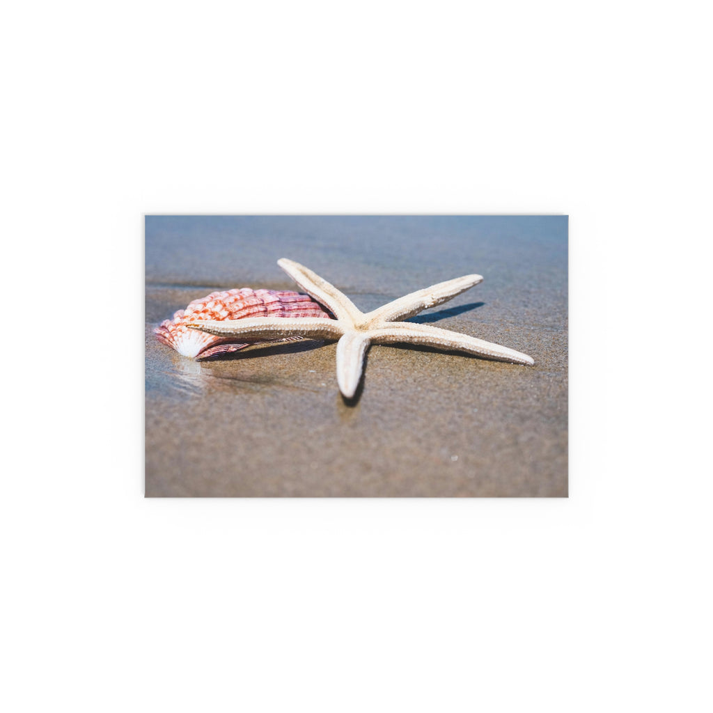 Starfish and Seashell Beach Photo Silk Poster