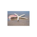 Starfish and Seashell Beach Photo Silk Poster