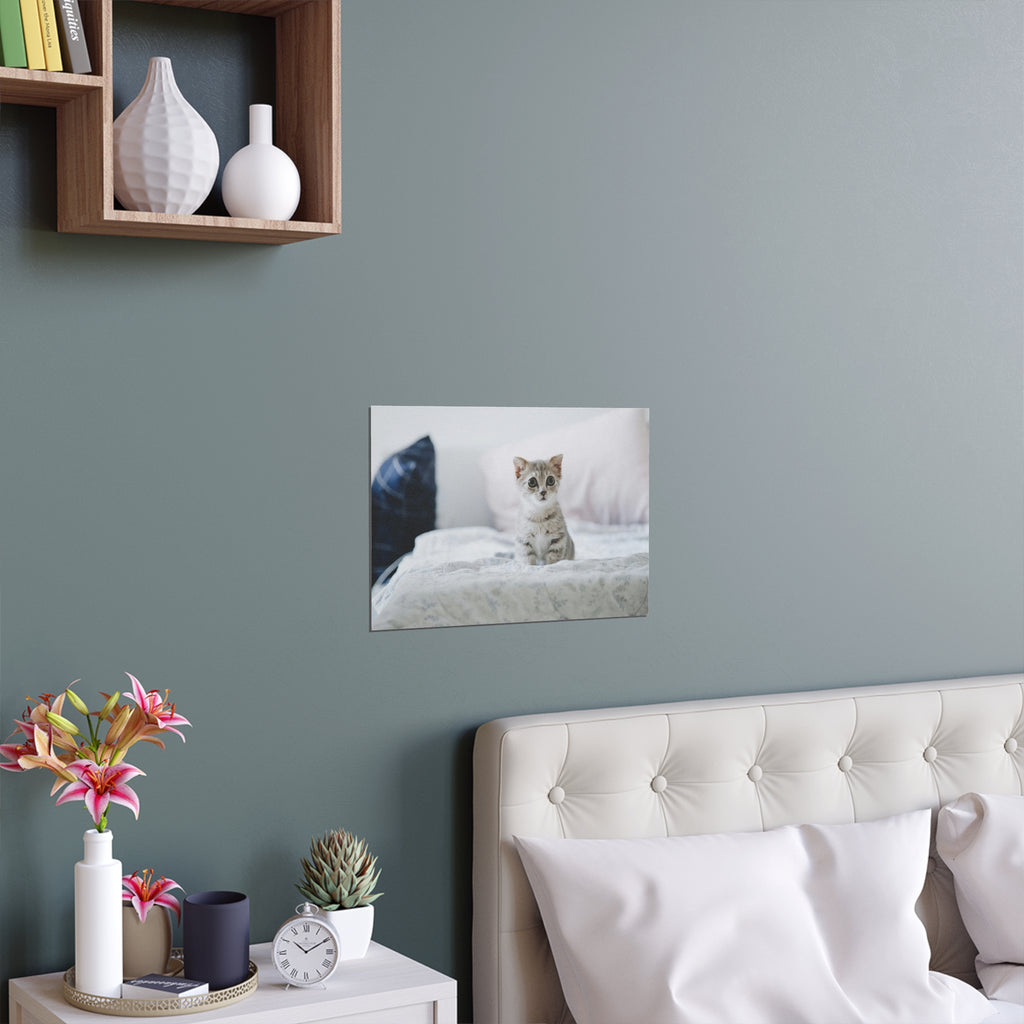 Cute Kitten on Bed Silk Poster | Indoor Outdoor Wall Art