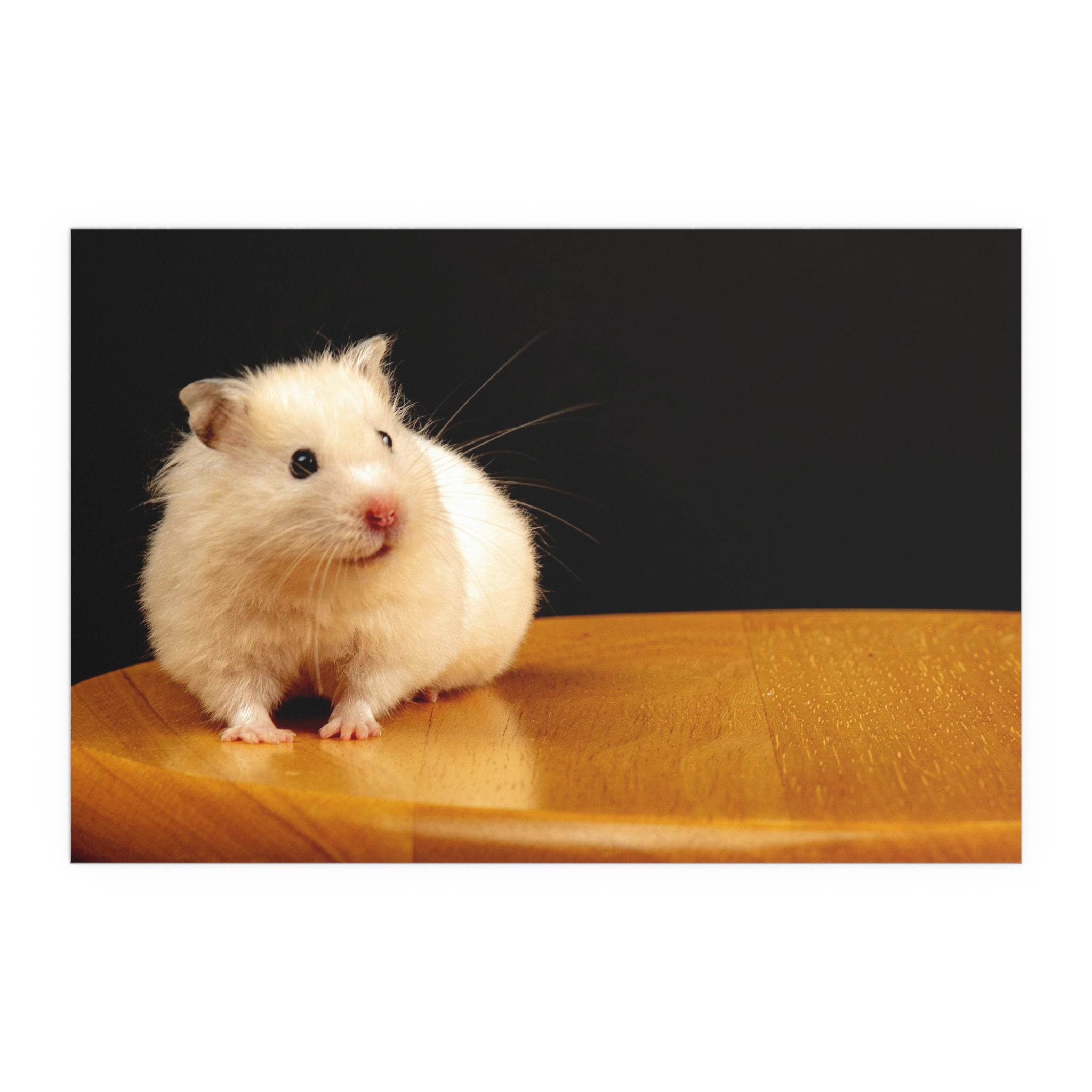 Cute White Hamster Silk Poster | Indoor Outdoor Wall Art