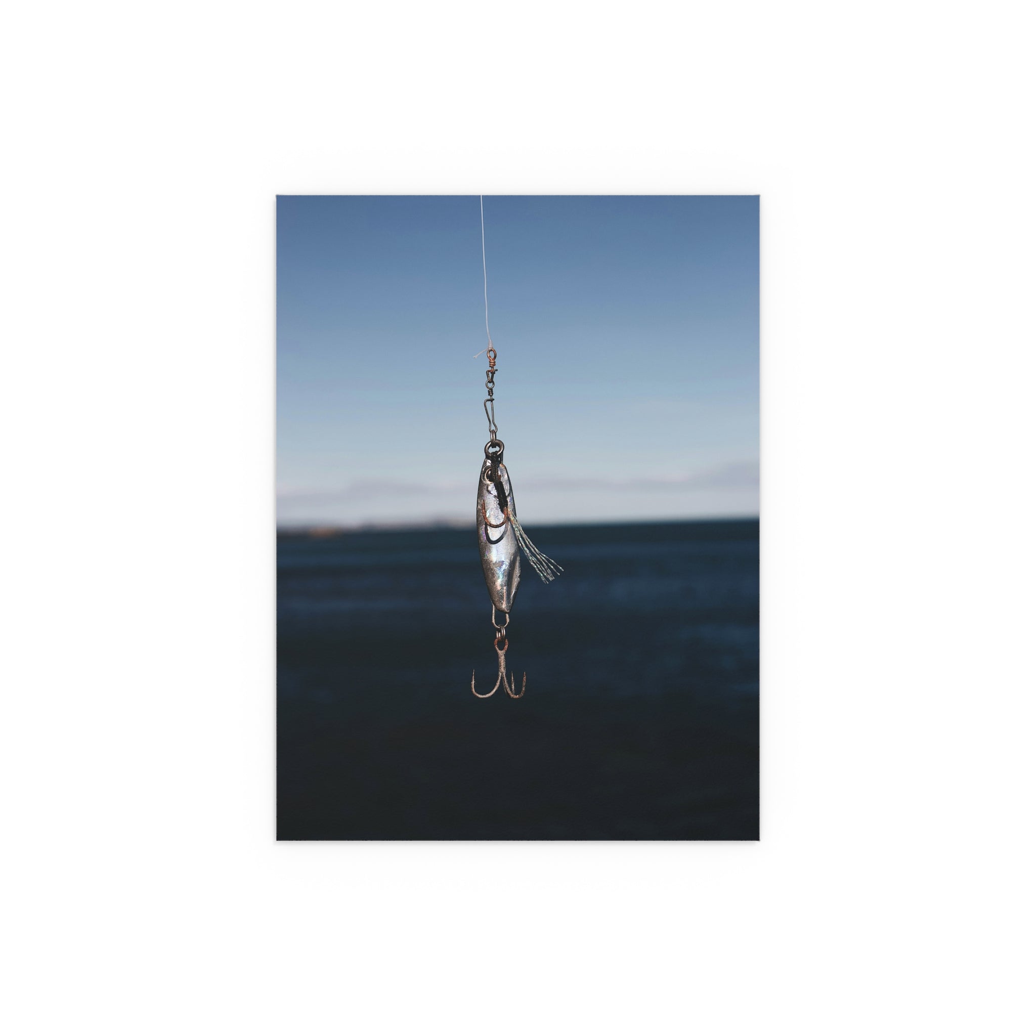 Fishing Lure Photo Poster
