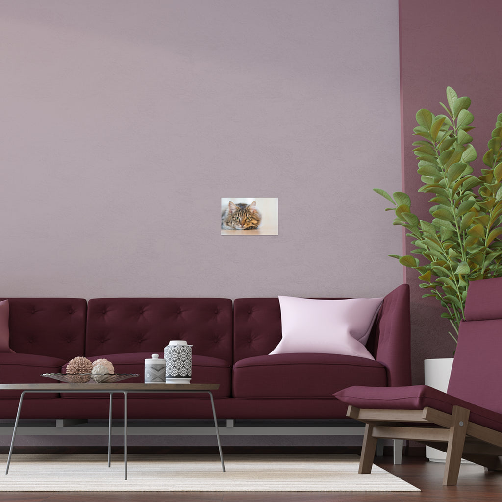 Tabby Cat Face Silk Poster | Indoor Outdoor Cat Wall Art