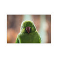 Green Parrot Portrait Silk Poster | Indoor Outdoor Wall Art
