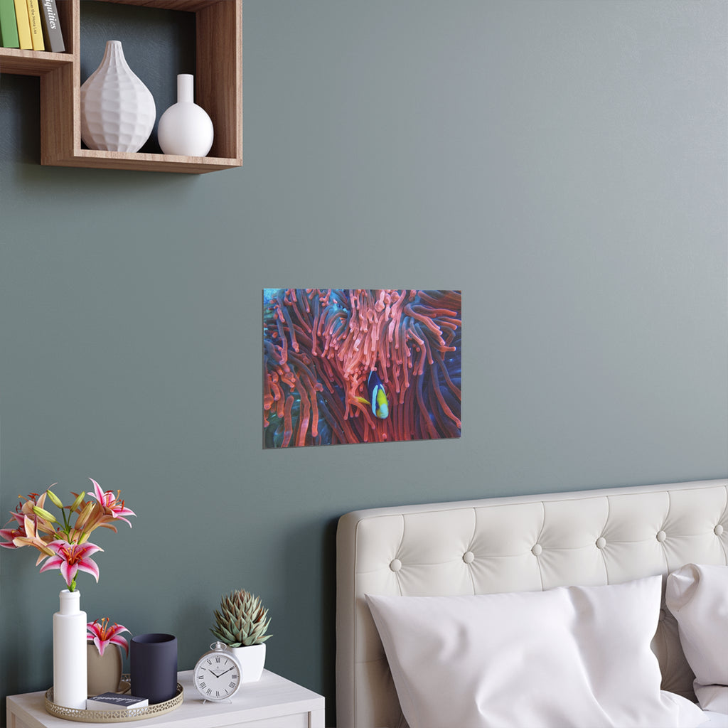 Clownfish in Sea Anemone Silk Poster | Indoor Outdoor Wall Art