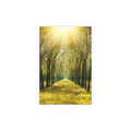 Sunlit Forest Path poster | Silk poster