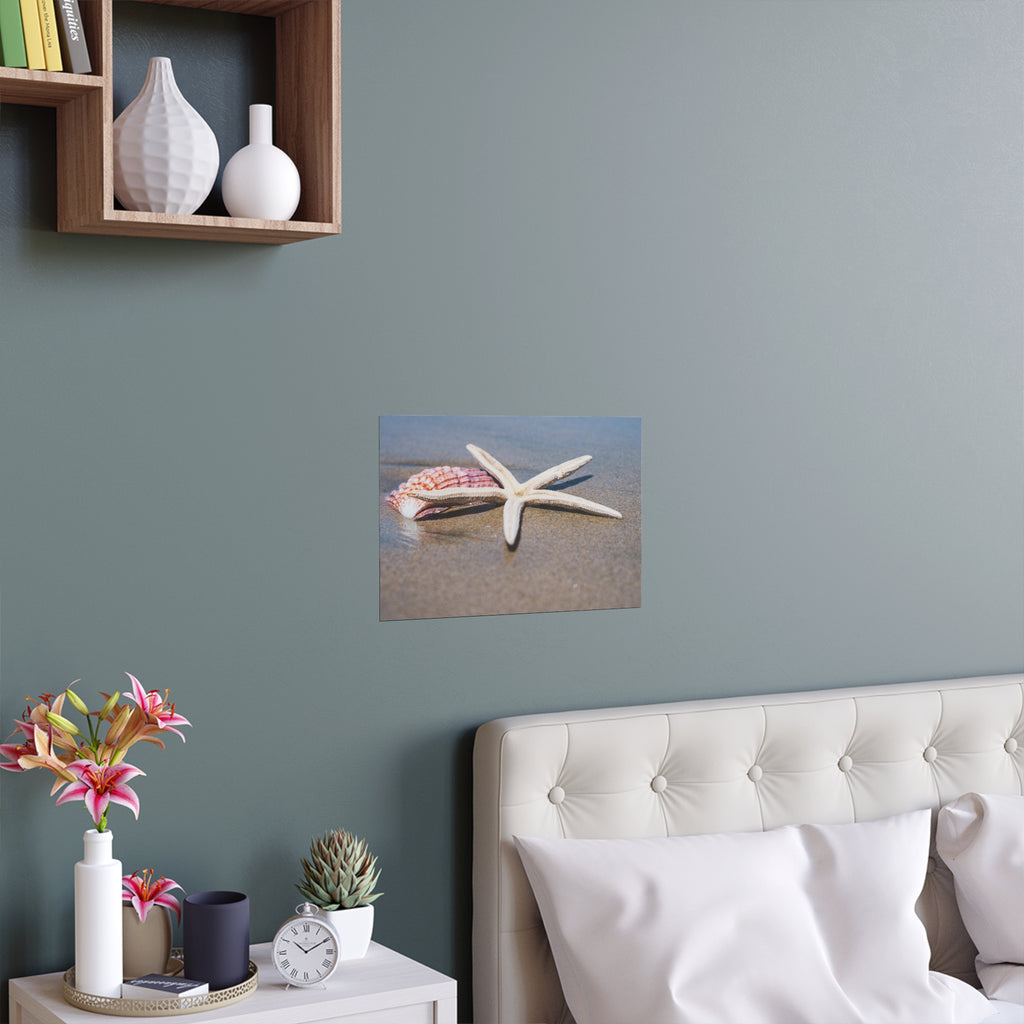 Starfish and Seashell Beach Photo Silk Poster