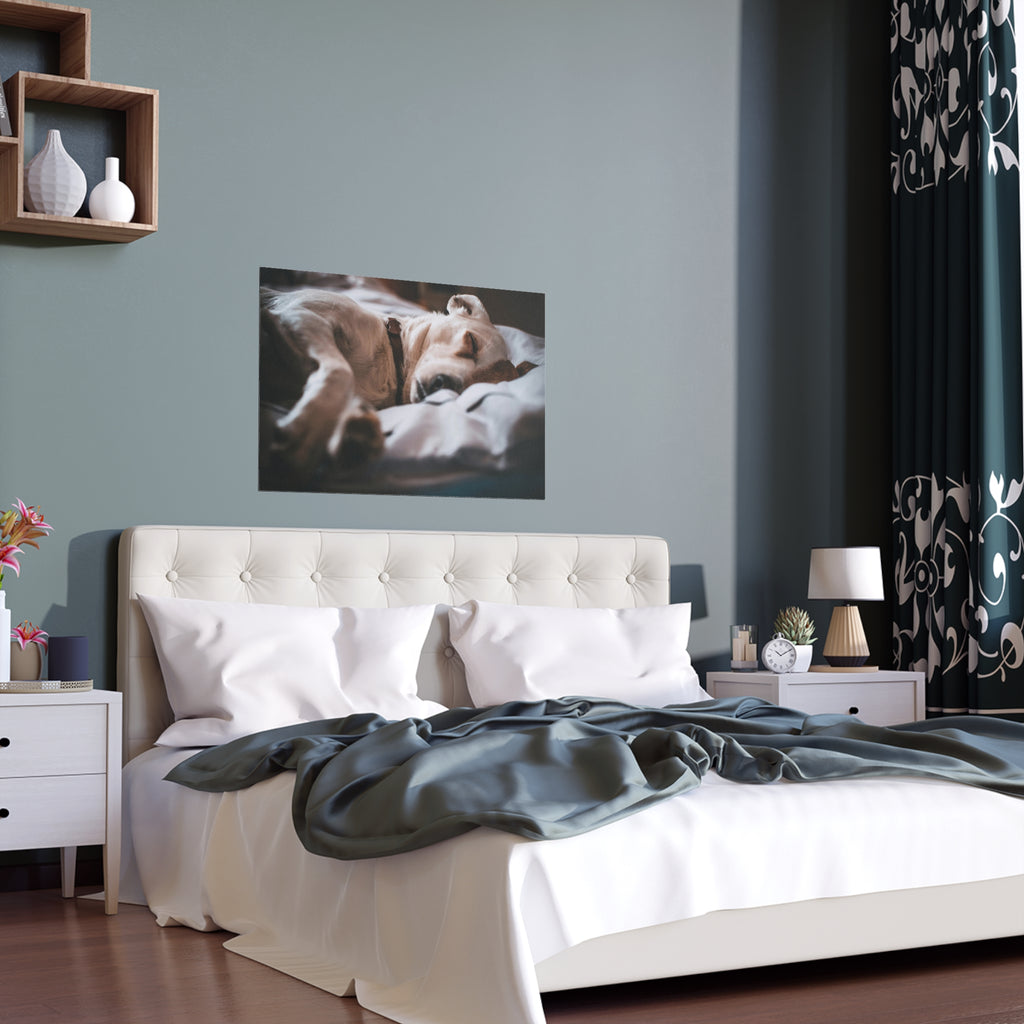 Sleeping Dog silk poster | cozy puppy photography wall art