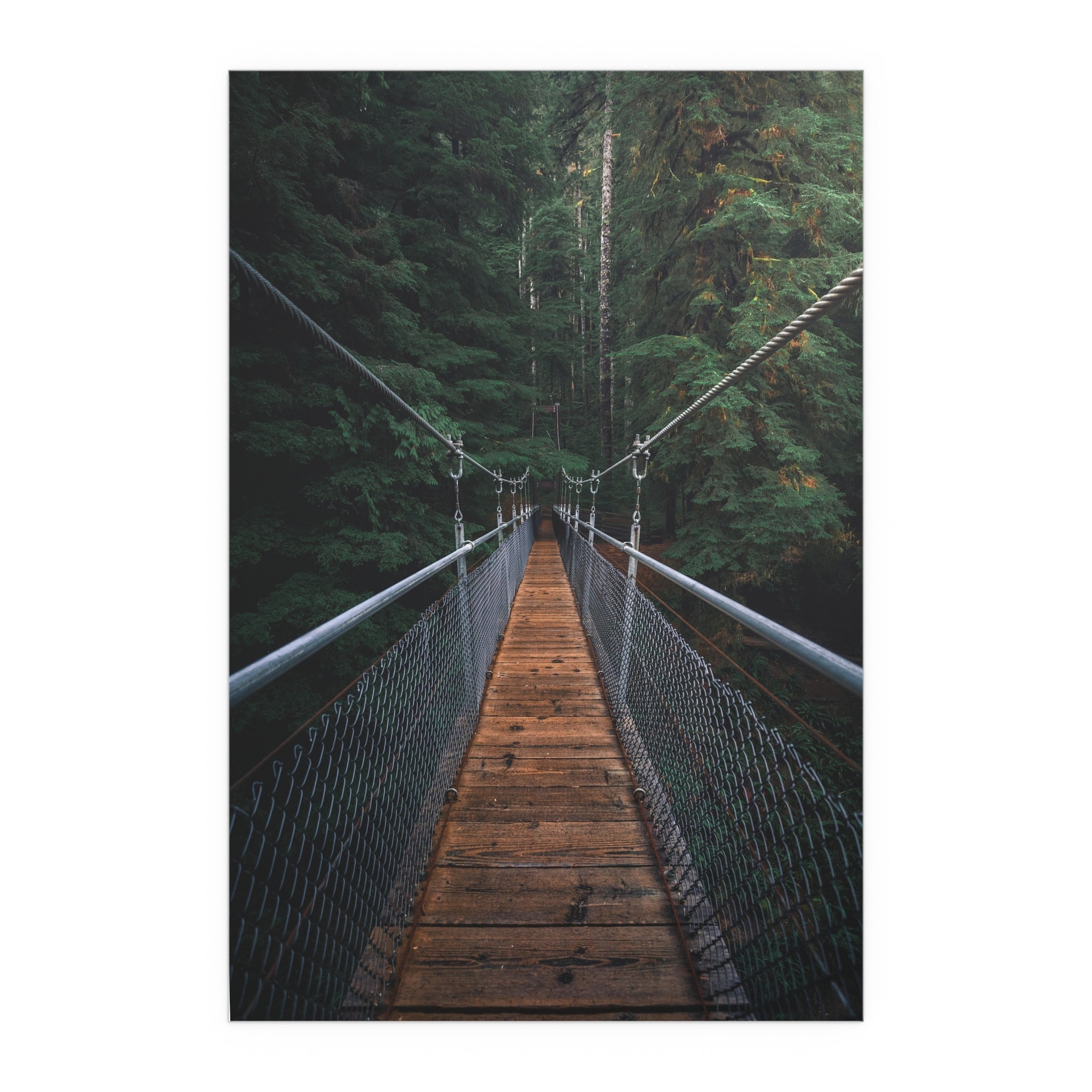 Suspension Bridge Forest Walk poster | Silk Poster