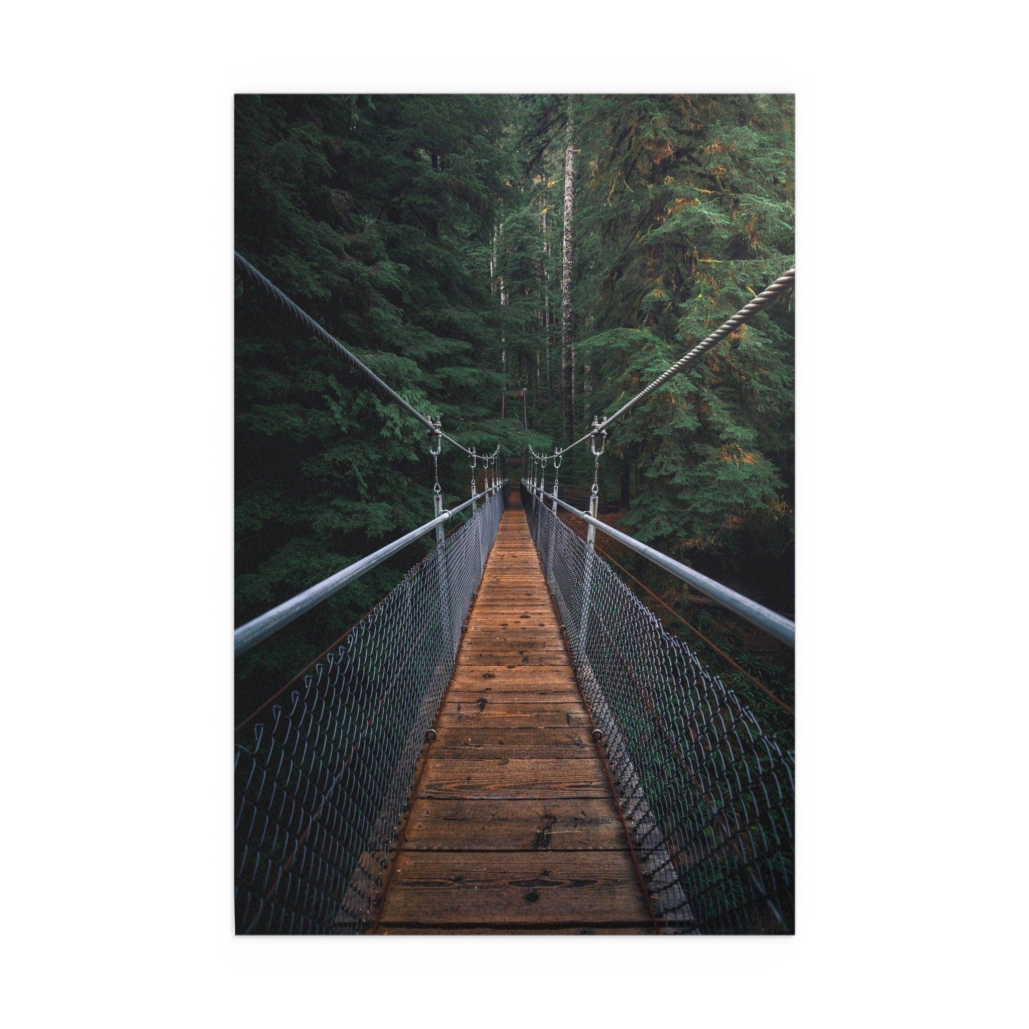 Suspension Bridge Forest Walk poster | Silk Poster