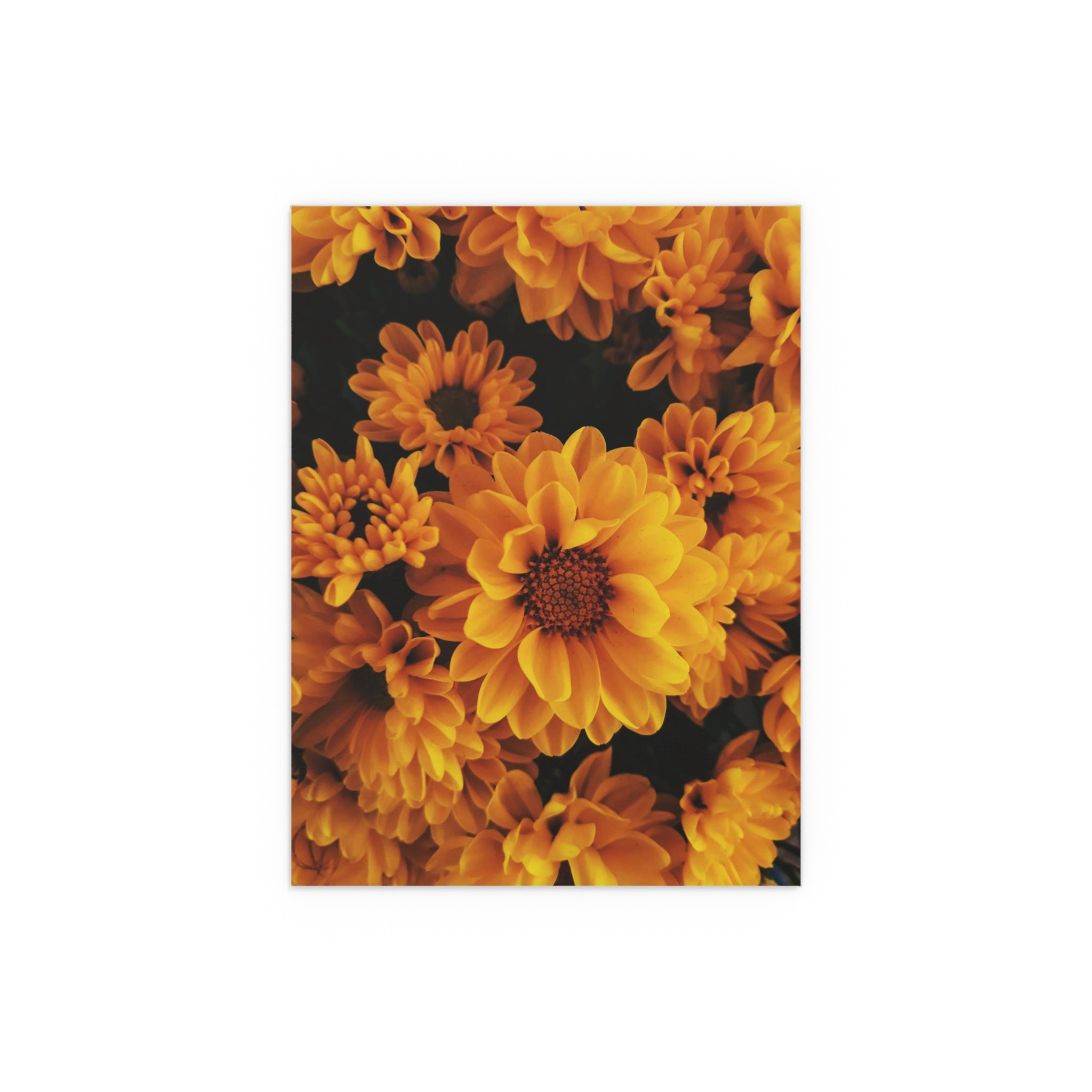 Golden Chrysanthemum Floral Print Poster | Silk Poster
