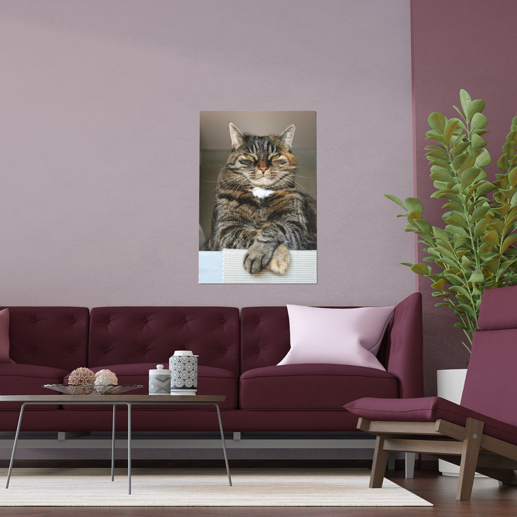 Tabby Cat Portrait poster | Indoor Outdoor Silk Poster