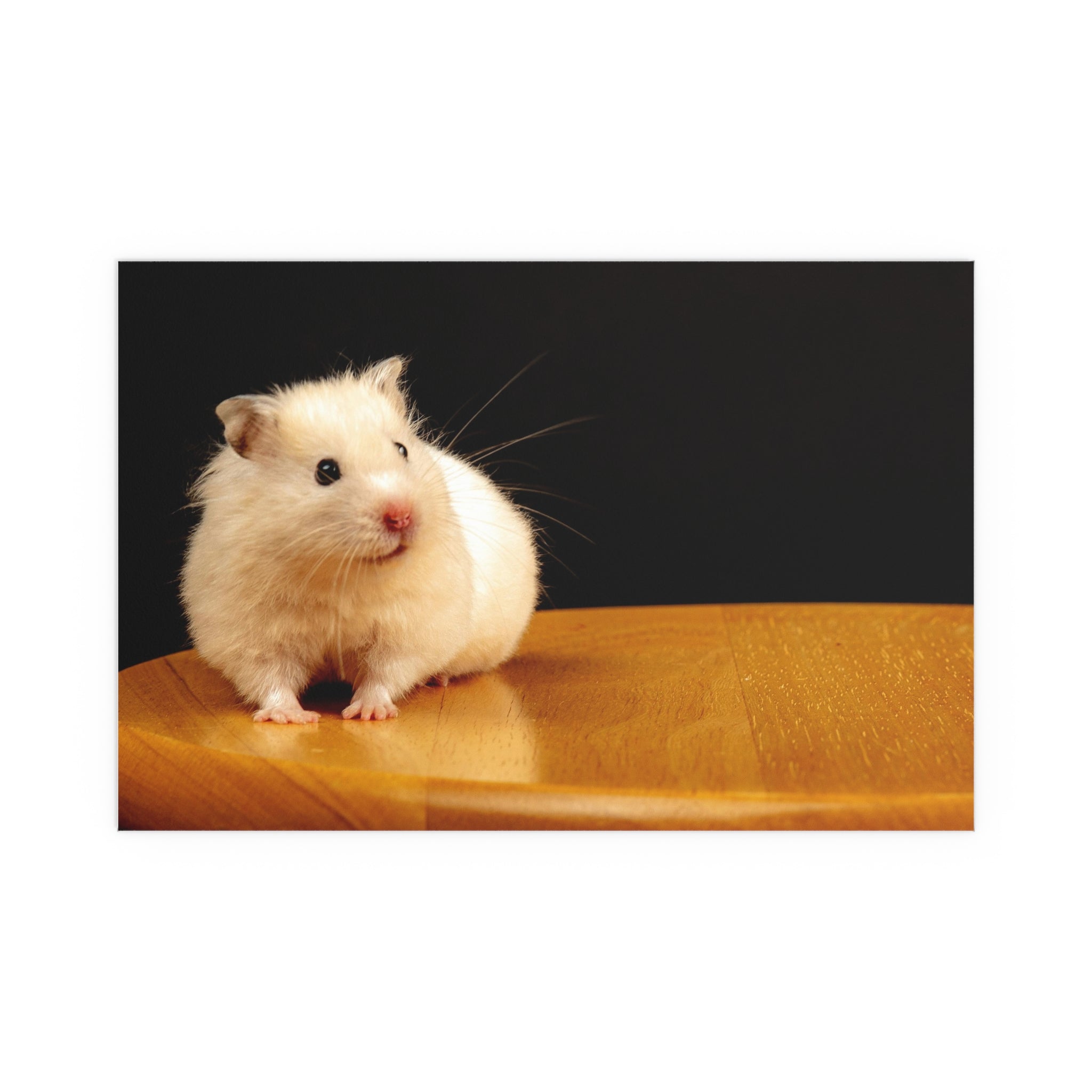 Cute White Hamster Silk Poster | Indoor Outdoor Wall Art