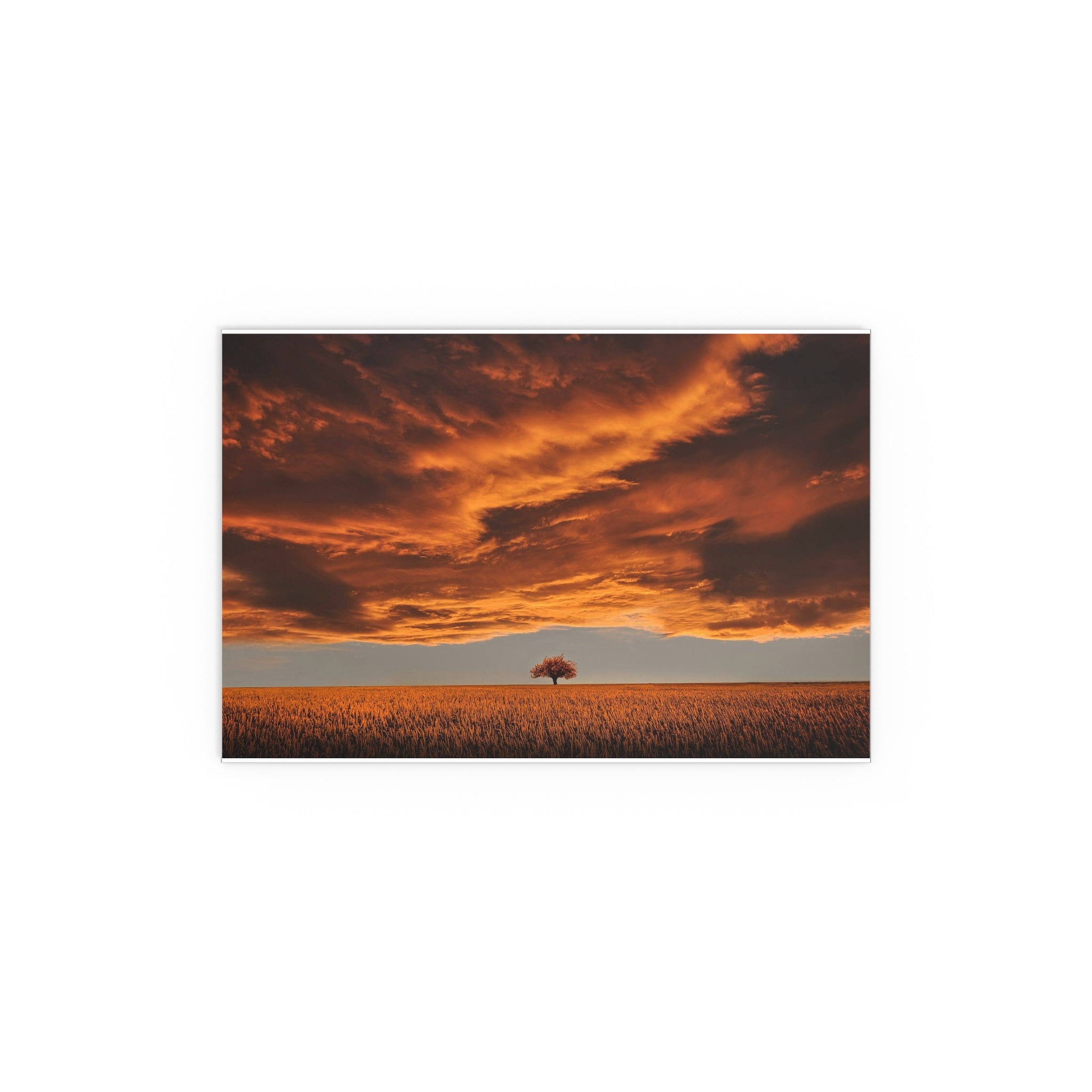 Dramatic Orange Sunset Tree Silk Poster | Wall Art Print
