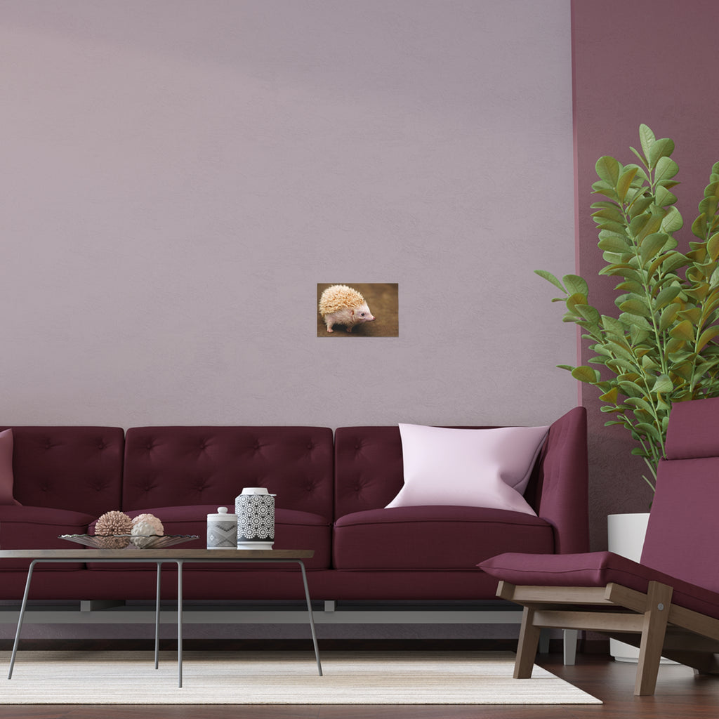 Albino Hedgehog Poster | Silk Poster