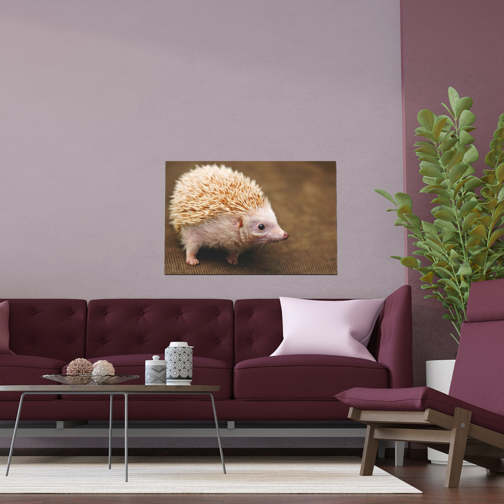 Albino Hedgehog Poster | Silk Poster