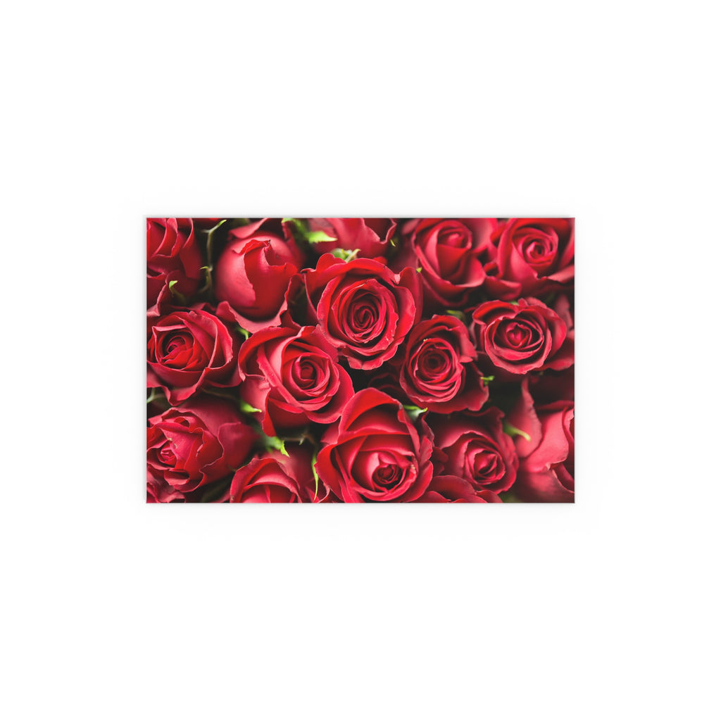 Red Rose Floral Print Silk Poster | Poster