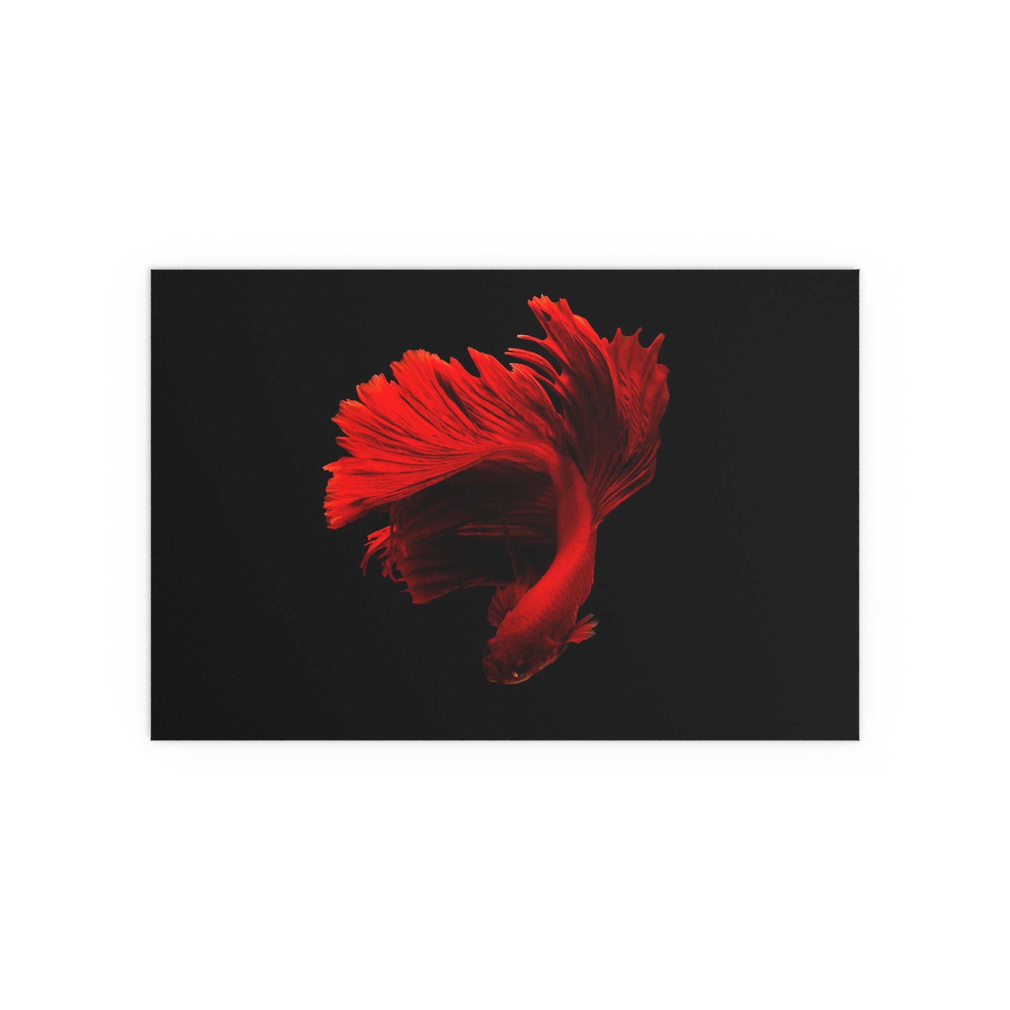 Red Betta Fish Art Silk Poster | Wall Decor