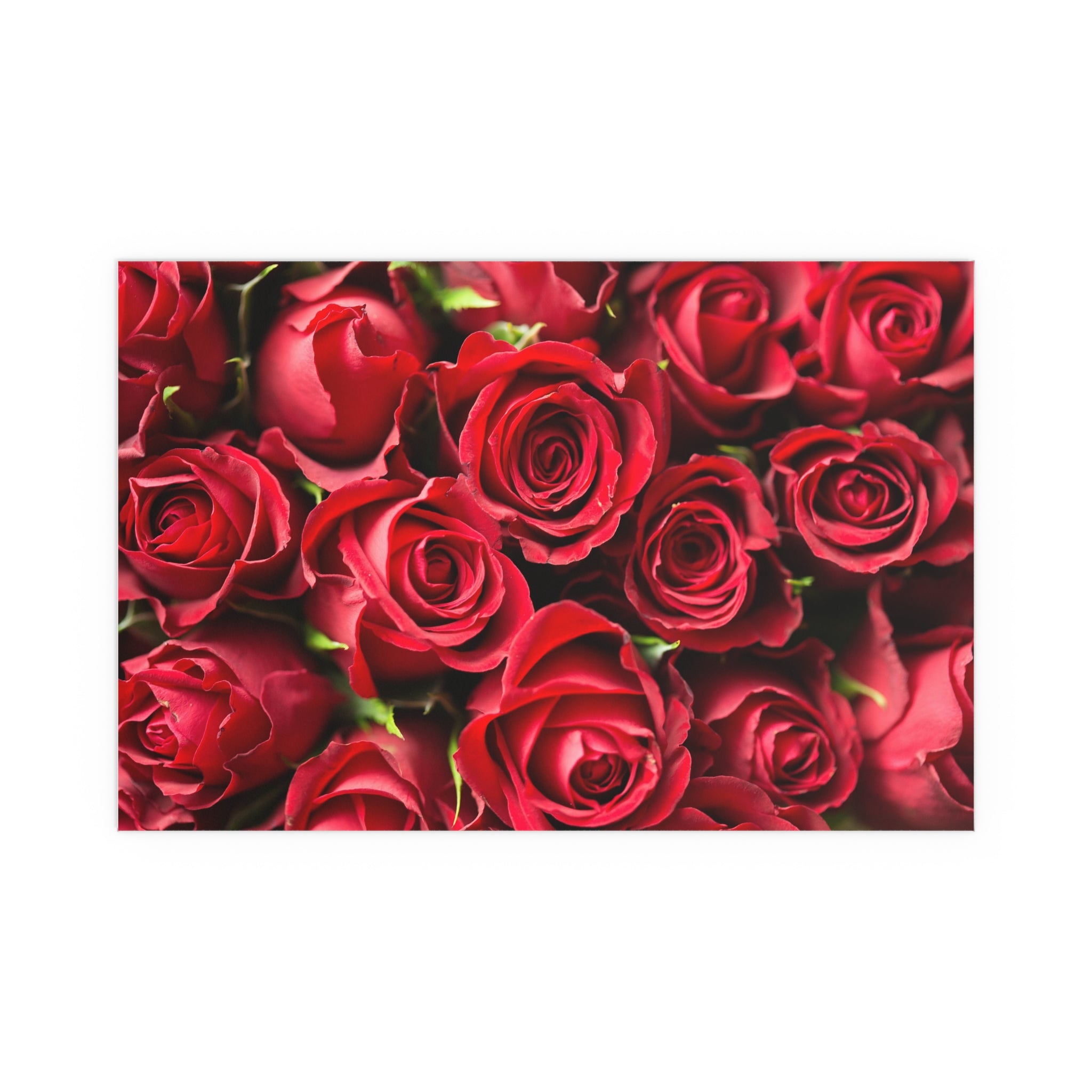 Red Rose Floral Print Silk Poster | Poster