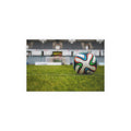 Soccer Ball on Grass Poster | Silk Print