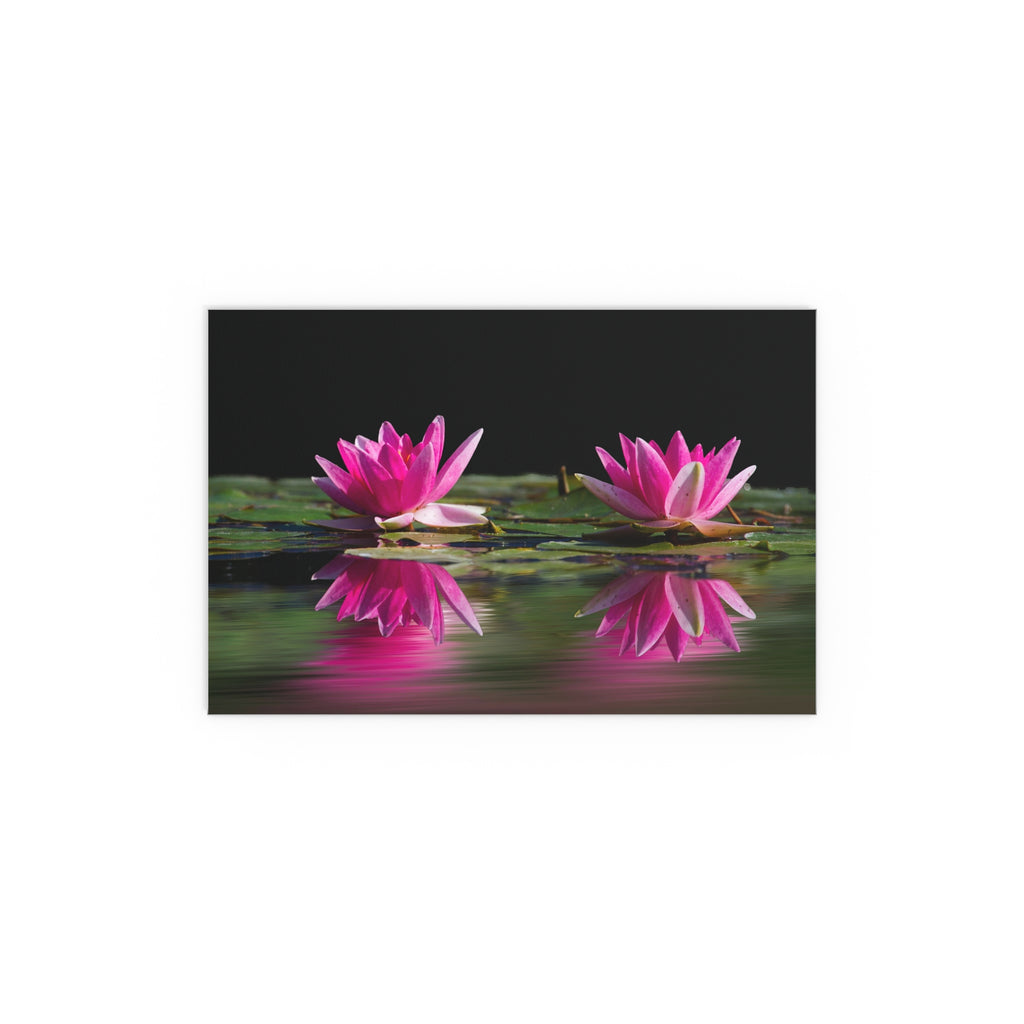 Pink Water Lily Silk Poster | Floral Wall Art, Pond Reflection
