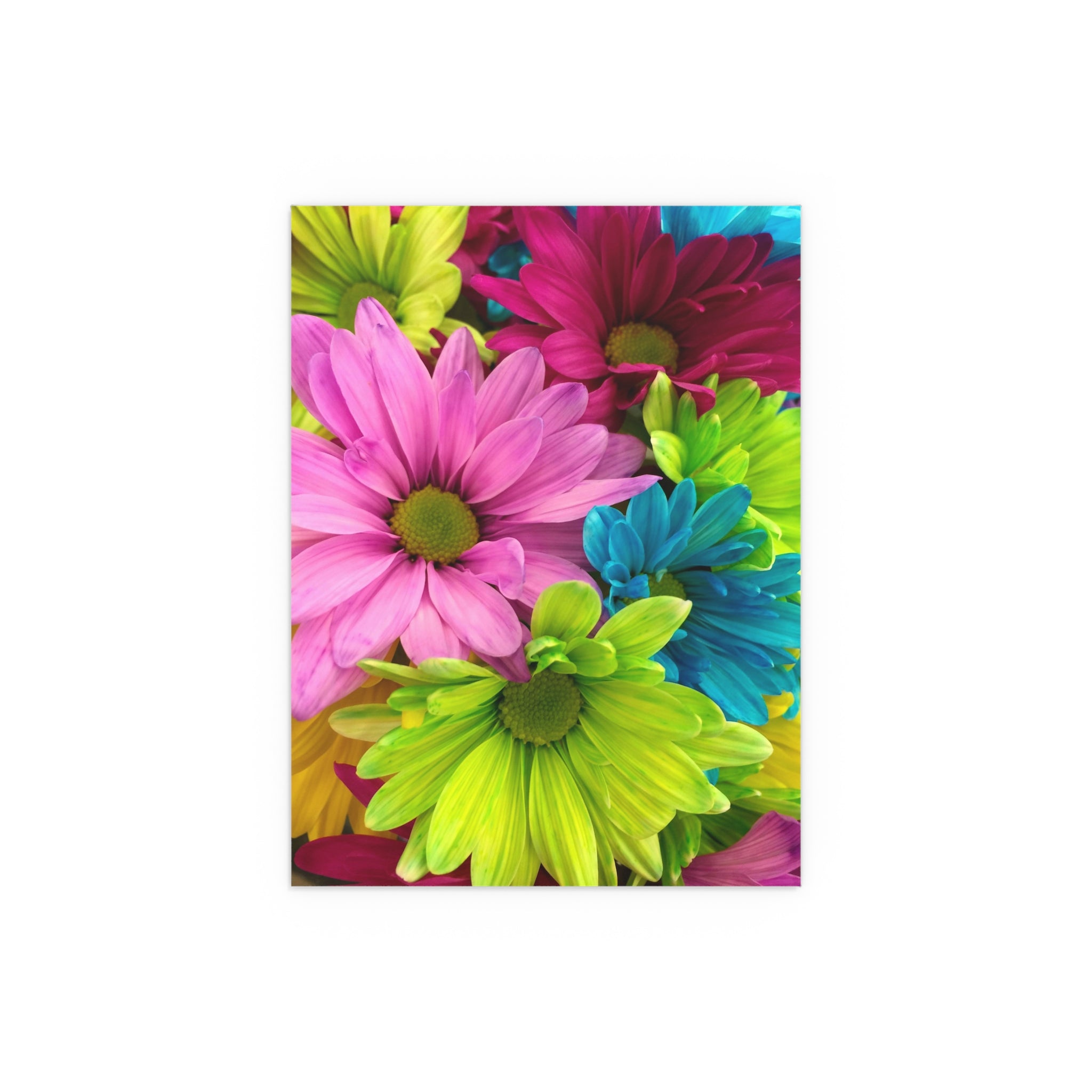 Bright Rainbow Daisy Floral Indoor Outdoor Silk Poster | Colorful Flower Wall Art