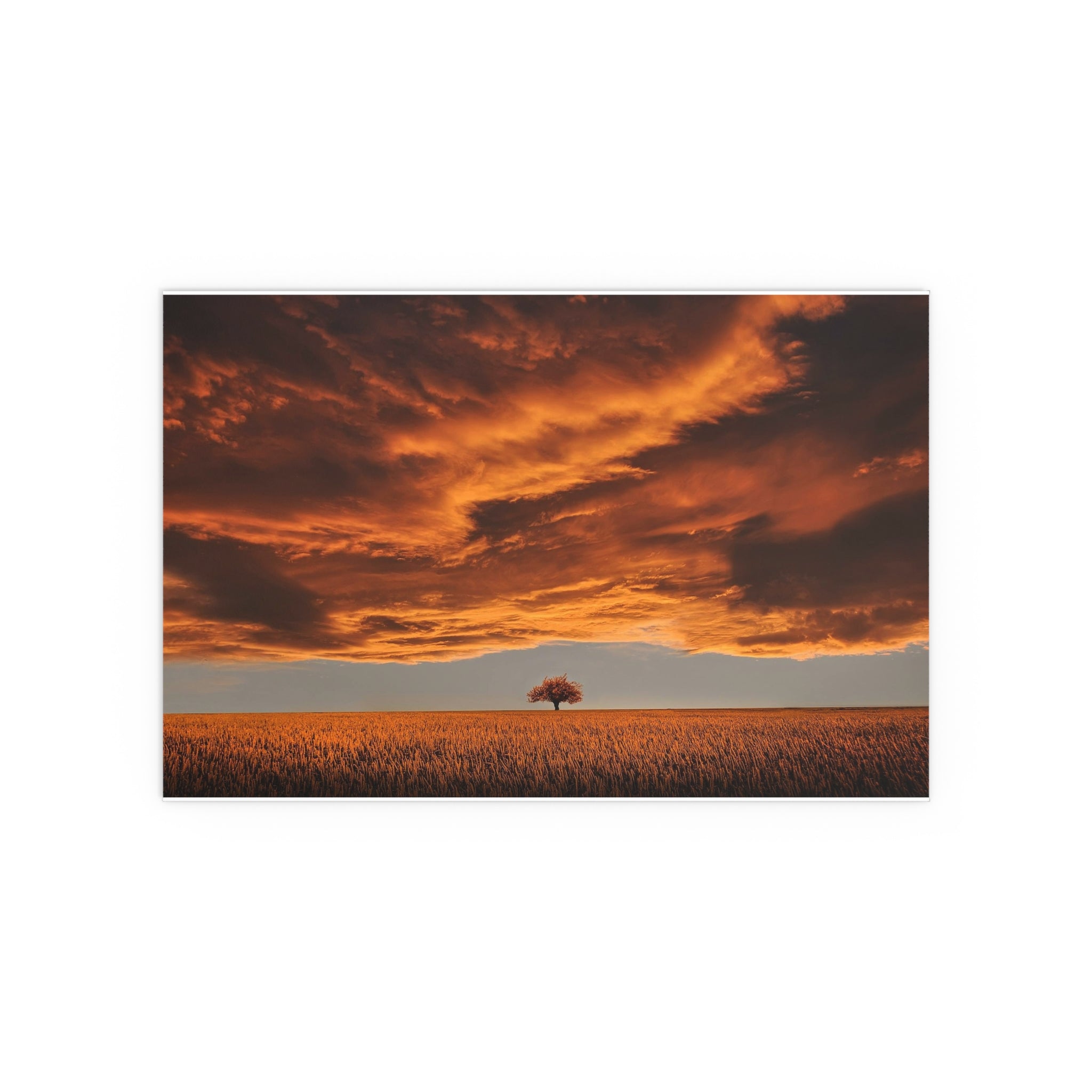 Dramatic Orange Sunset Tree Silk Poster | Wall Art Print