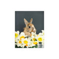 Easter Bunny in Daffodils Silk Poster
