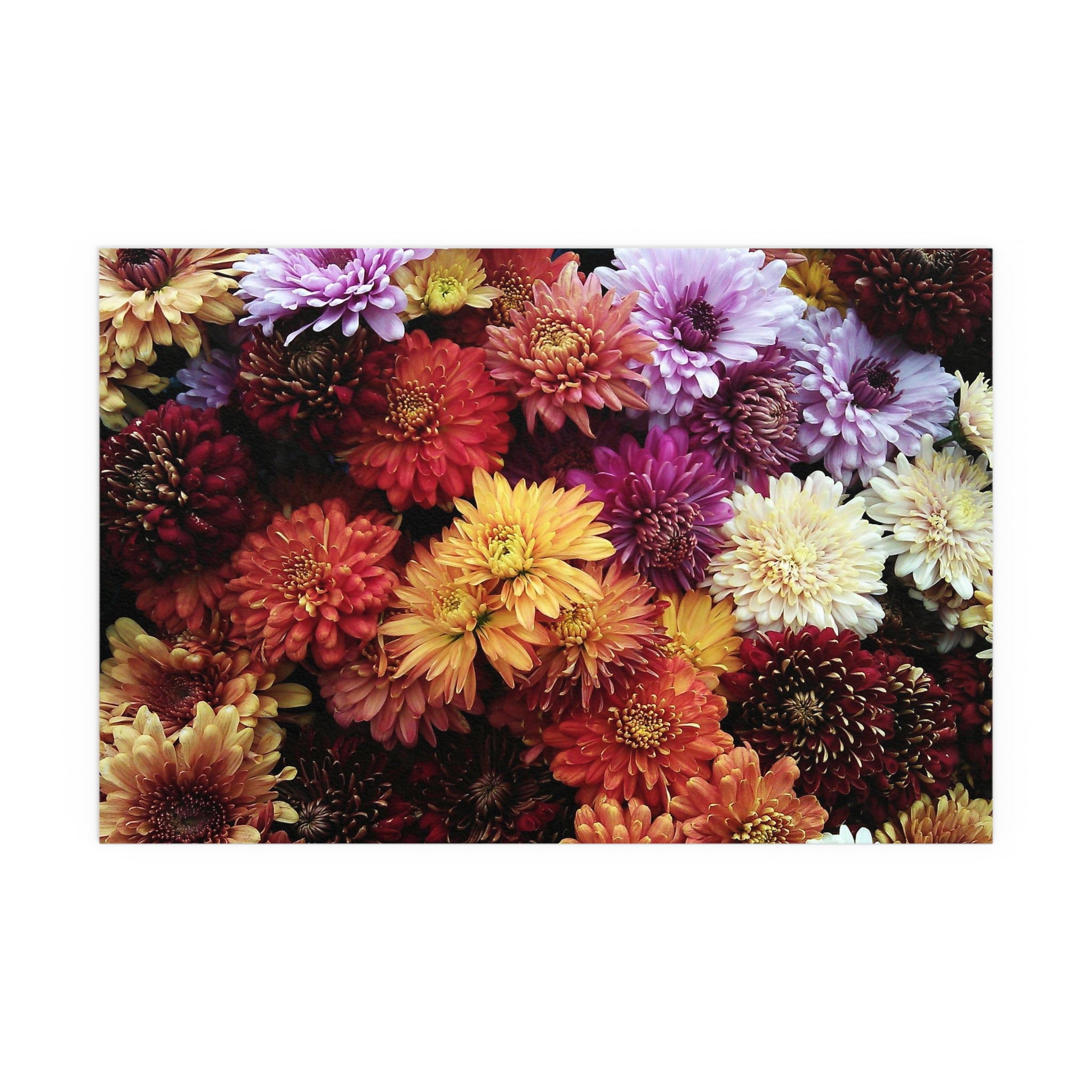 Colorful Chrysanthemum Collage Silk Poster