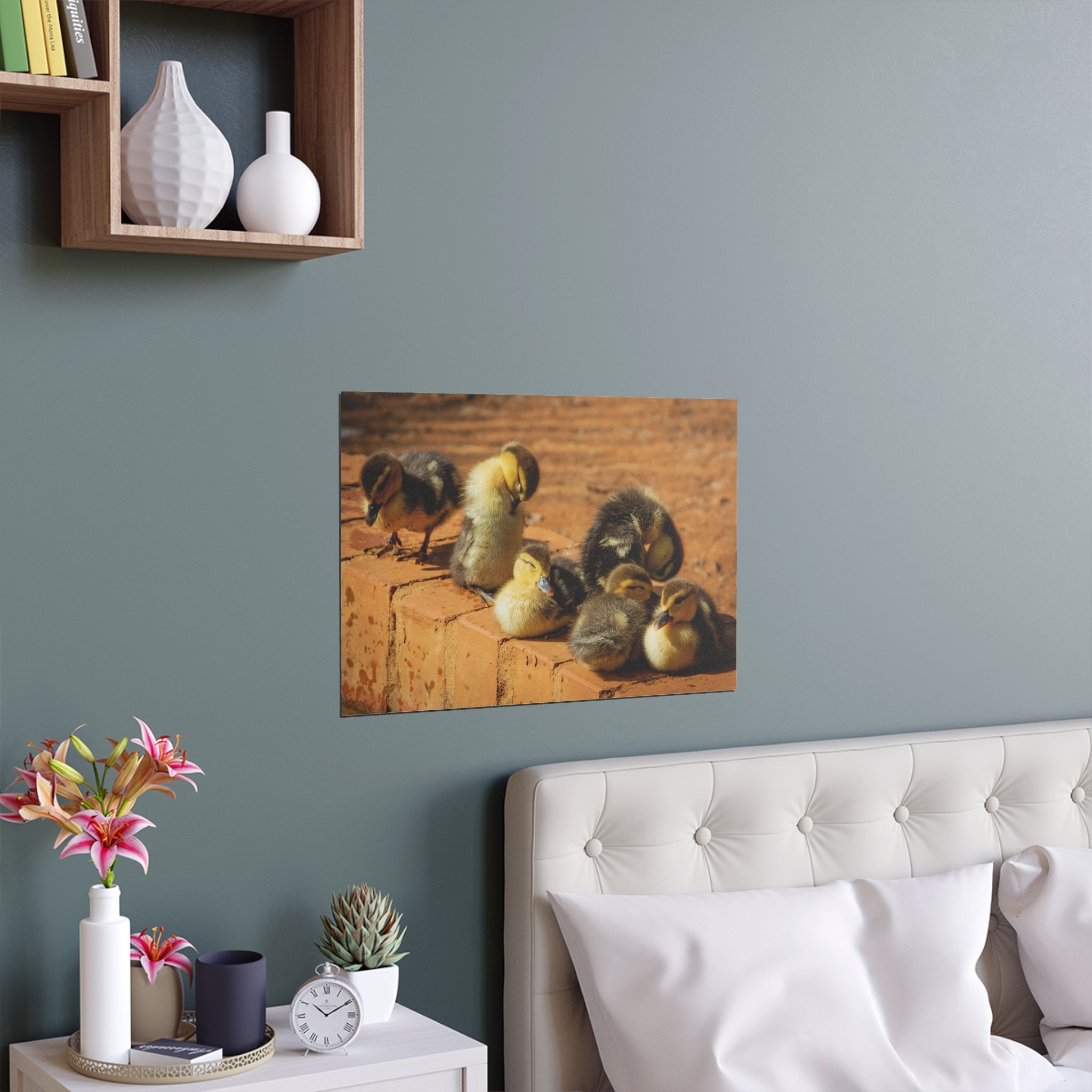 Duckling Photo Silk Poster