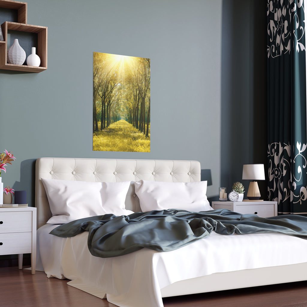 Sunlit Forest Path poster | Silk poster