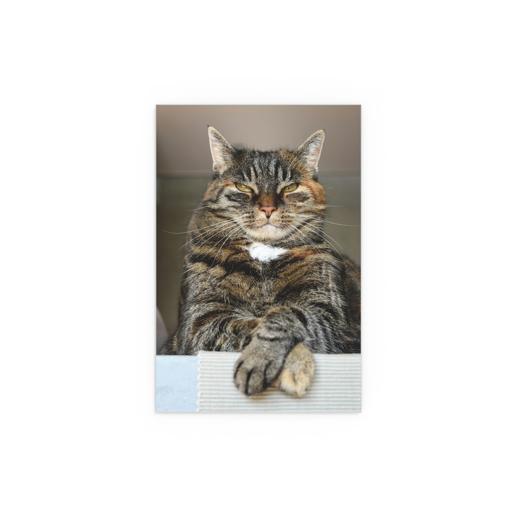 Tabby Cat Portrait poster | Indoor Outdoor Silk Poster