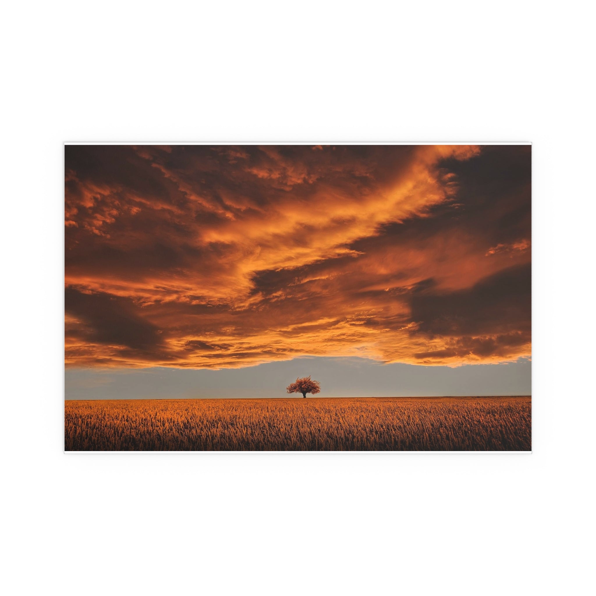 Dramatic Orange Sunset Tree Silk Poster | Wall Art Print