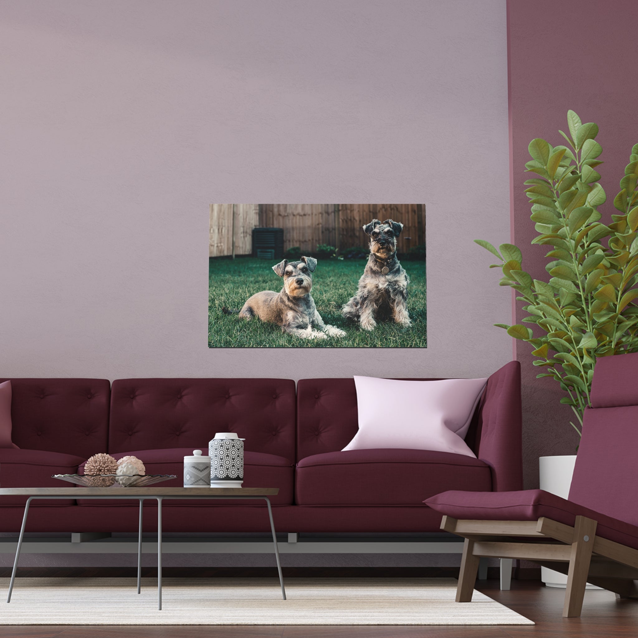 Two Schnauzer Dogs Silk Poster | Indoor Outdoor Dog Photo Wall Art