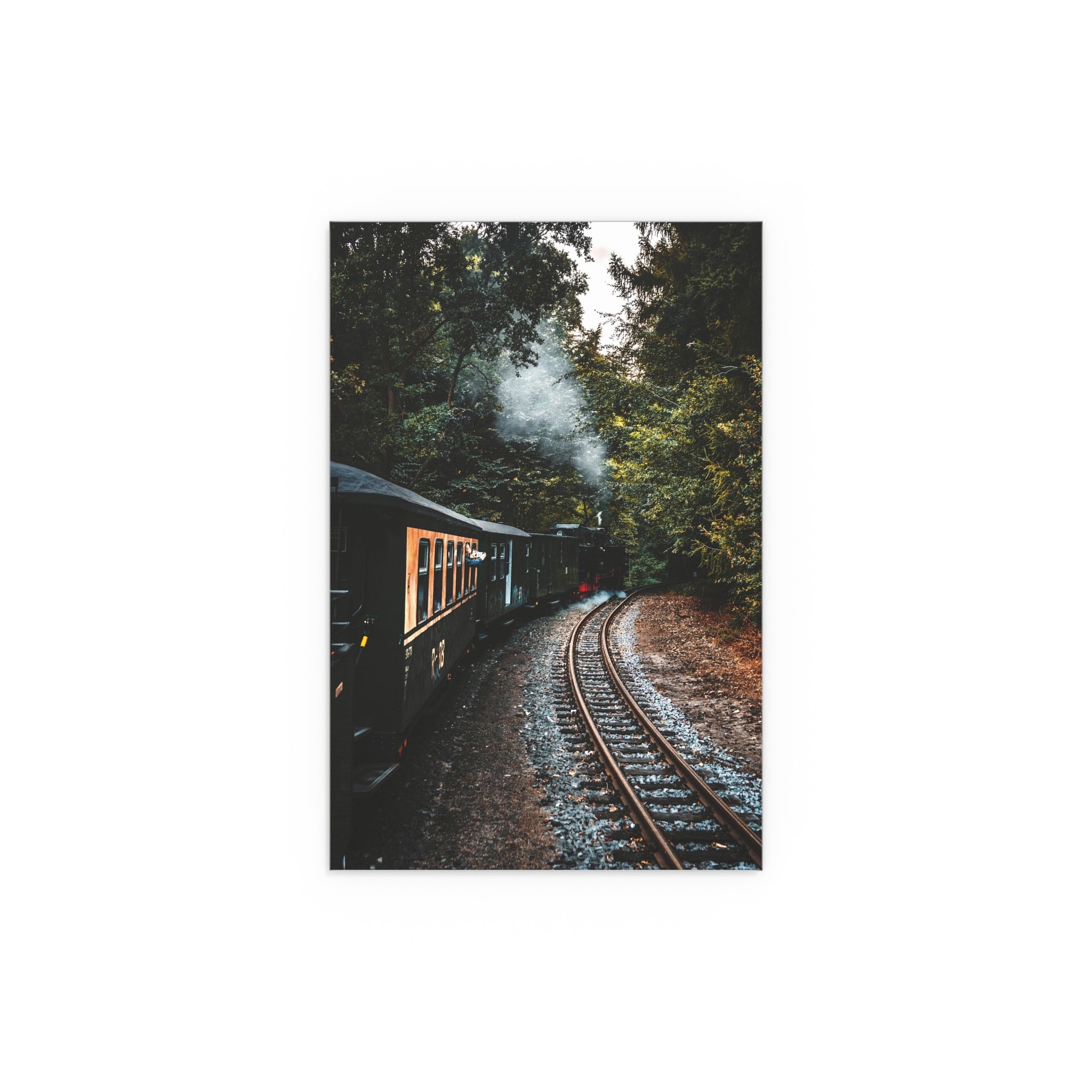 Vintage Steam Train Tracks silk poster | Indoor Outdoor wall art